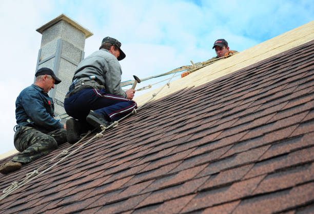 Best Roofing Contractors for Homes  in El Macero, CA